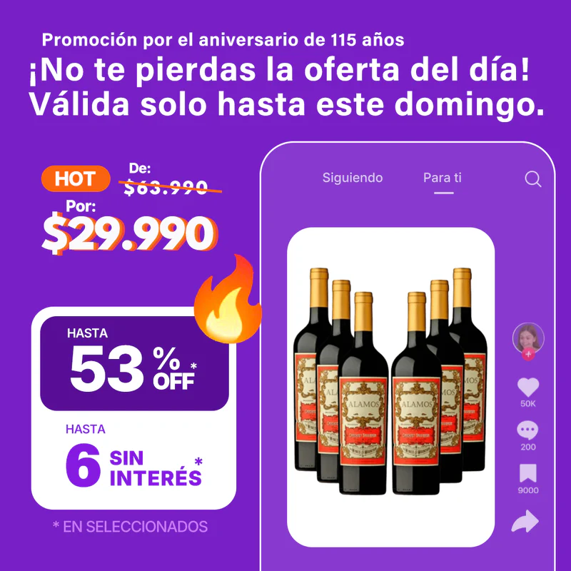 Vino Alamos Malbec 750ml Caja X6