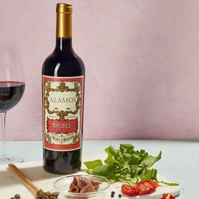 Vino Alamos Malbec 750ml Caja X6